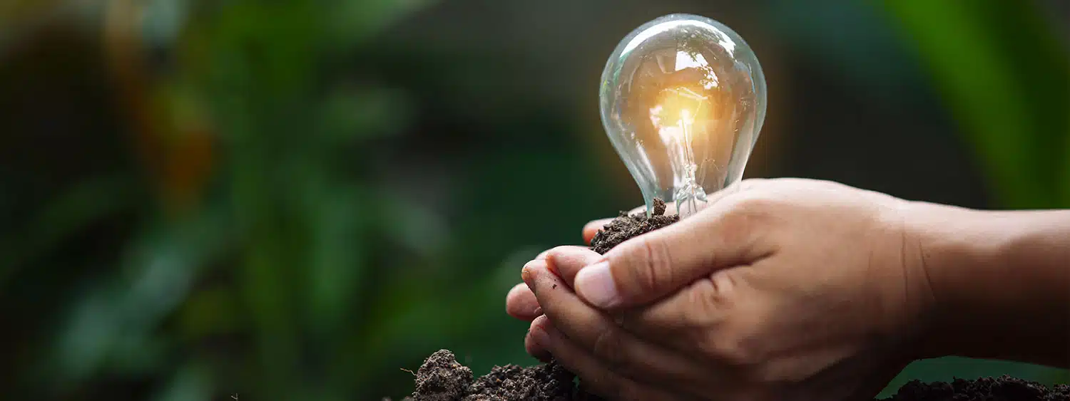 Agrivoltaico - Agrivoltaico - 3