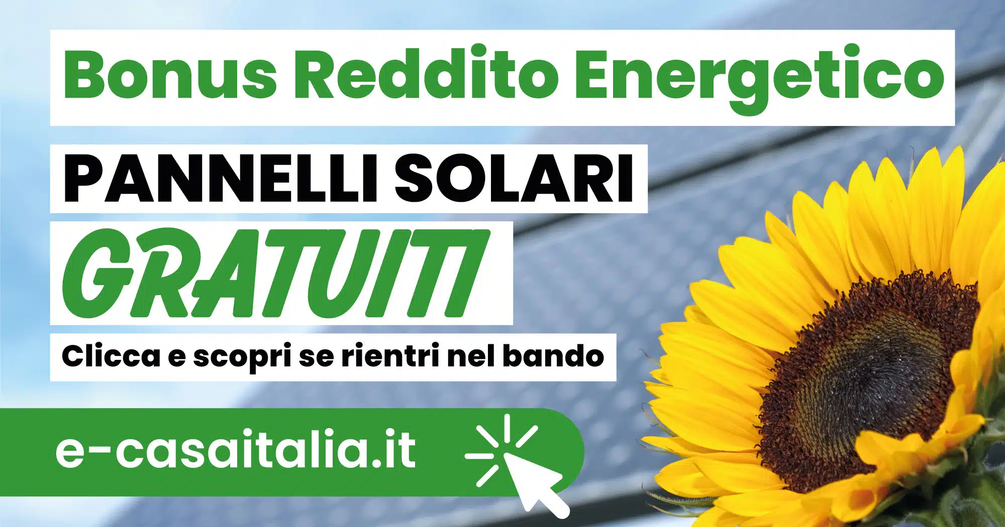 Bonus Reddito Energetico 2024